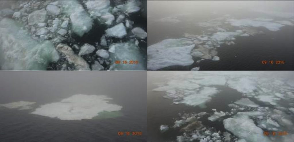 Figure 6: Photographs of sea ice taken from a Weathernews support vessel that traveled through the Laptev Sea in the Arctic on September 16th